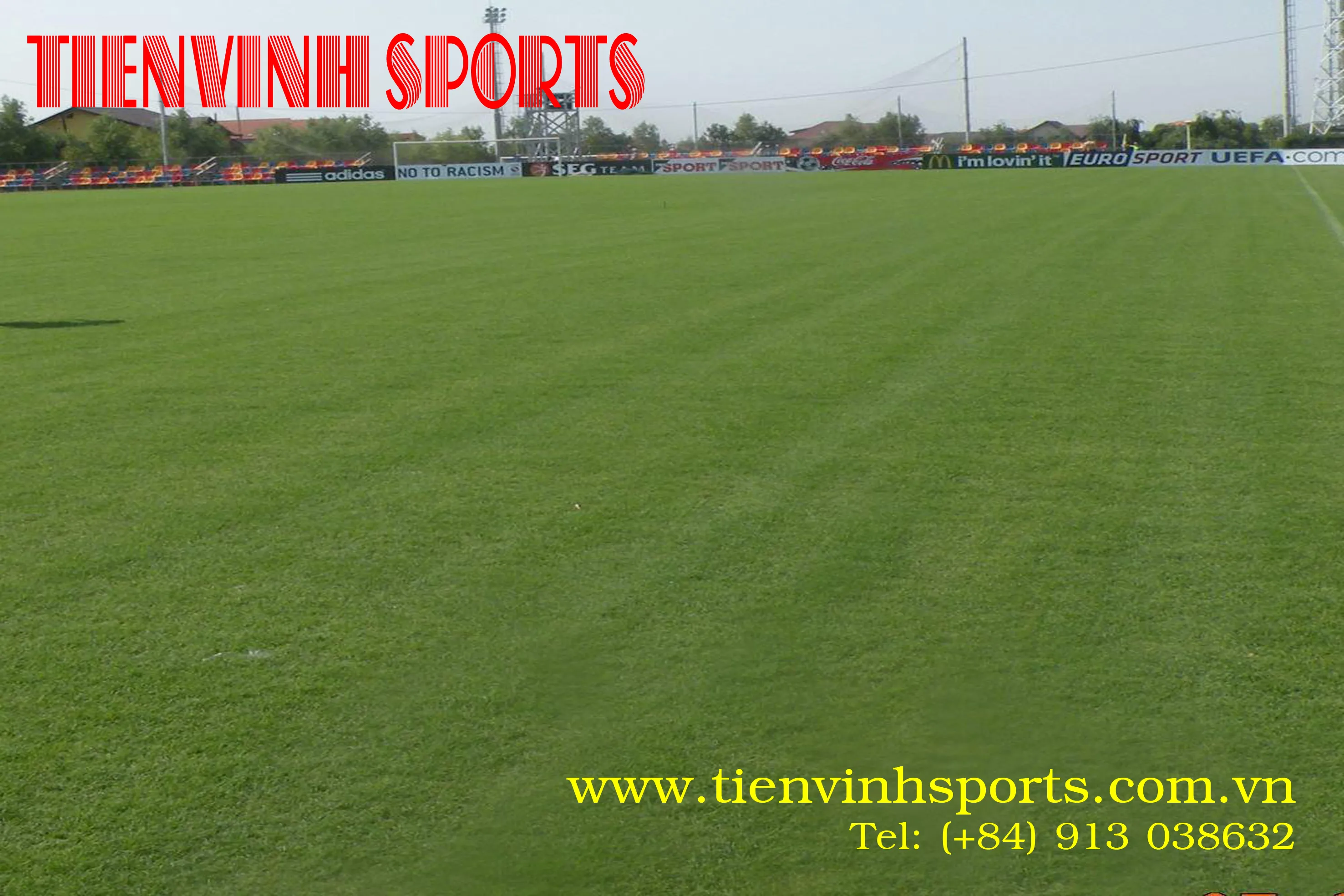 trồng cỏ bermuda