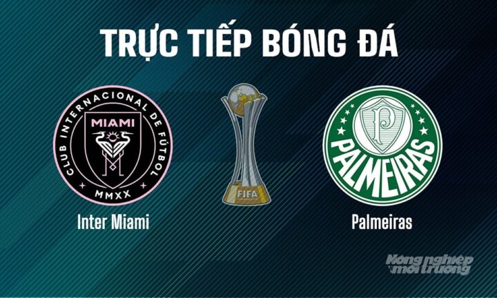 Bóng Gì Không Đá Được Có 2 Từ? Giải Mã Câu Đố Và Tầm Quan Trọng Của Luật Bóng Đá 7 Người