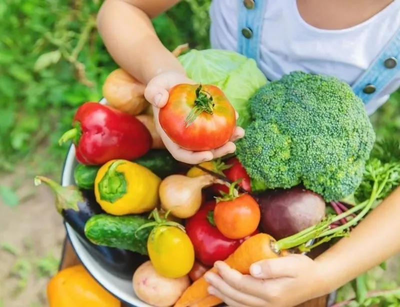 Các loại thực phẩm nhẹ, dễ tiêu hóa giúp tránh cảm giác nặng bụng và khó chịu trước khi đá bóng