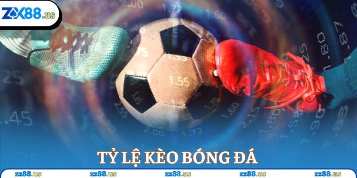 Đđ Bt Sbt Trong Bóng Đá Là Gì: Giải Mã Thuật Ngữ Quan Trọng Khi Soi Kèo