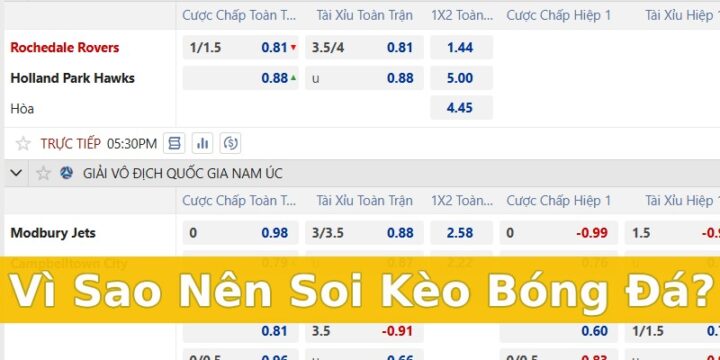 Kèo Hdc Là Gì? Giải Mã Toàn Diện Tỷ Lệ Cược Chấp Châu Á