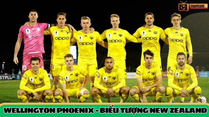 Từ FC Trong Bóng Đá Là Gì: Giải Mã Chi Tiết Các Ý Nghĩa Và Vai Trò