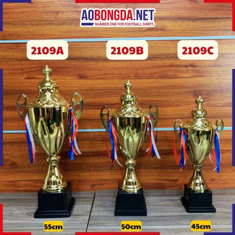 Năm 2109 Có Giải Bóng Đá Gì? Tầm Nhìn Và Di Sản Vĩnh Cửu Của Túc Cầu